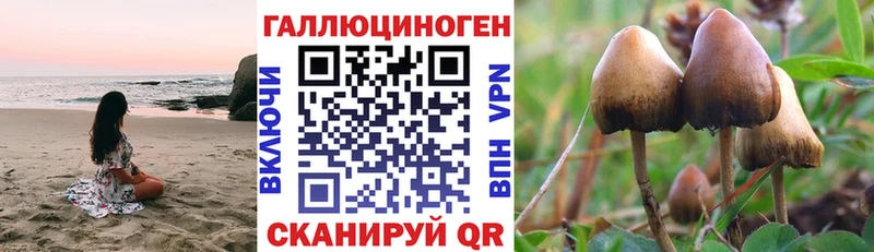 Псилоцибиновые грибы прущие грибы  MEGA ССЫЛКА  Николаевск 